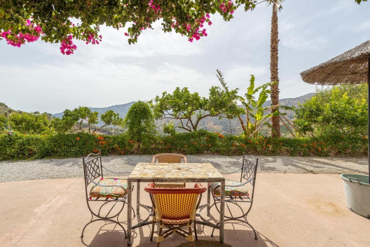 Villa Malaga Con Jacuzzi Piscina Vallada Barbacoa By Andaraholidays Sayalonga Kültér fotó